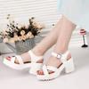 Große Größe 45 Frauen Knöchel Schnalle High Heel Sandalen Sommer 2024 Mode Plattform Sandalen Frau Dicke Sohle Gladiator Sandalias Mujer