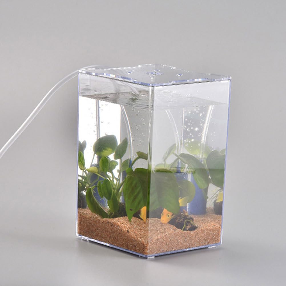 

Ipetboom Acrylic Fish Breeding Box-1pc Acrylic Fish Isolation Box Fish Tank Desktop Aquarium Betta Fish Tank Small Aquarium Miniature Turtle Tank