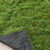 Artificial Moss Decorative Moss Fake Moss Indoor Decor