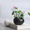 TOSSOW Ceramic Flower for and Stylish Mini Gift Pot, Egg-Shaped, Succulents, Cacti, Herbs, More, Planter, Black,