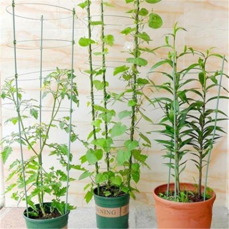 Climbing Plant Support Cage Garden Trellis Flowers Rings 3 Super Stand T3G7 Climbing Plant Support Cage Garden Trellis Flowers Rings 3 Super Stand T3G7