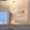 Modern Crystal Dandelion Chandelier for Living Room, Bedroom, or Dining Room - 2025 Style