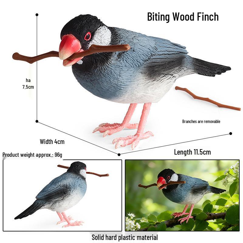 Children's Animal Simulation Toy Set: Eagle, Falcon, Secretary Bird, Owl Figurines