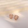 New Models, High-end Earrings Temperament Atmospheric Earclips Exquisite Earrings Women's Anti-allergic
