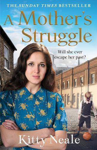 A Mothers Struggle by Kitty Neale Paperback Book 9781847562432