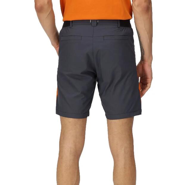 Regatta Highton Pro Shorts