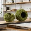 Creative Phalaenopsis Dendrobium Kokedama Moss Ball Plant Pot for Micro Landscape