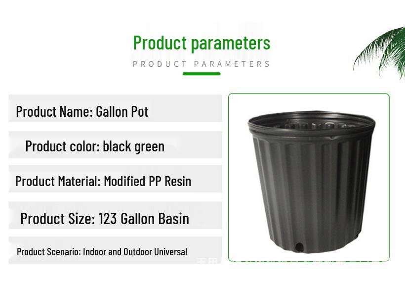 Black Currant Nursery Flower Pots, Tall & Short Models