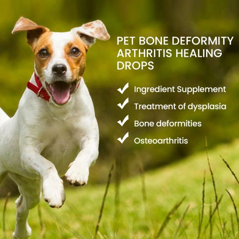 1ounce Pet Joints Care Drop for Bone Relief Dogs Arthritis Repair Drops Powerful Joints Support Drop for Cat Hip Joints