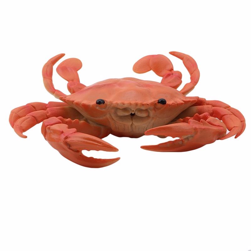 Simulation Écrevisse Crabe Jouet Enfant