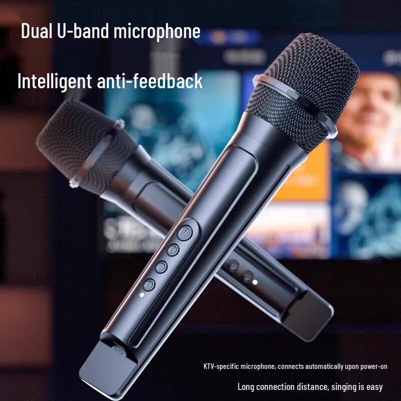Newmine Venkovní Bluetooth Karaoke Reproduktor CN zástrčka (adaptér součástí dodávky)