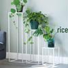 Nordic Gold Iron Art Flower Stand - Floor Standing Plant Rack for Living Room, Balcony, and Succulents.