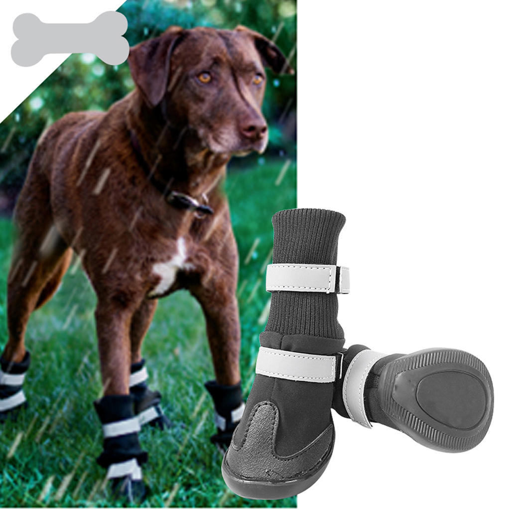dog moon boots