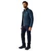 Regatta Mens Marizion Padded Jacket
