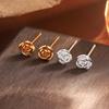 Exquisite 2024 Rose Flower Stud Earrings for Women - Light Luxury Autumn/Winter Accessory