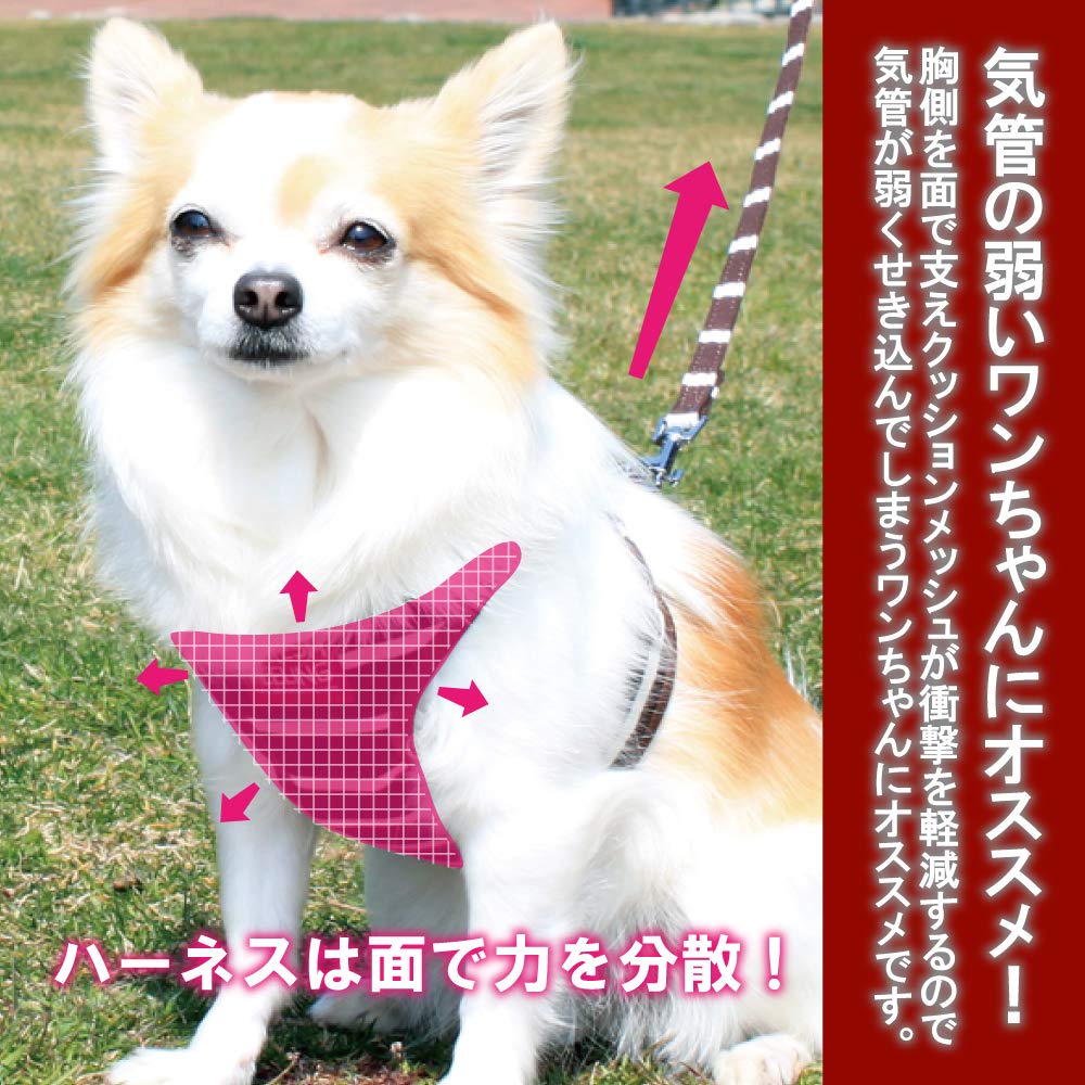 Border Pattern Sort Full Harness Lead Size (Navy, S)