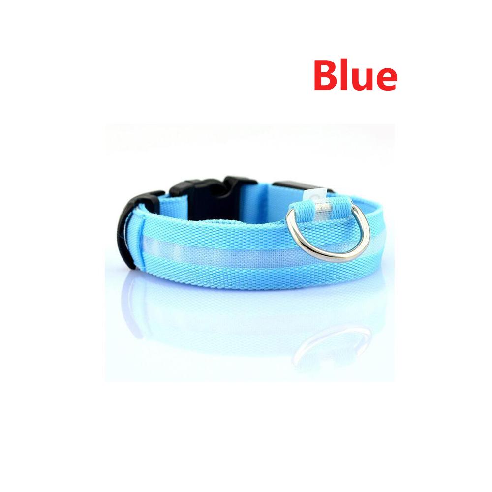 light up collar