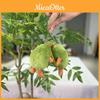 Adorable Avocado Stuffed Toy Keychain Super Soft Plush Doll Perfect For Kids