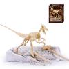 NEW 6 Optional DIY Simulation Archaeological Excavation of Dinosaur Skeleton Fossil Model Educational Toys Gift for Children