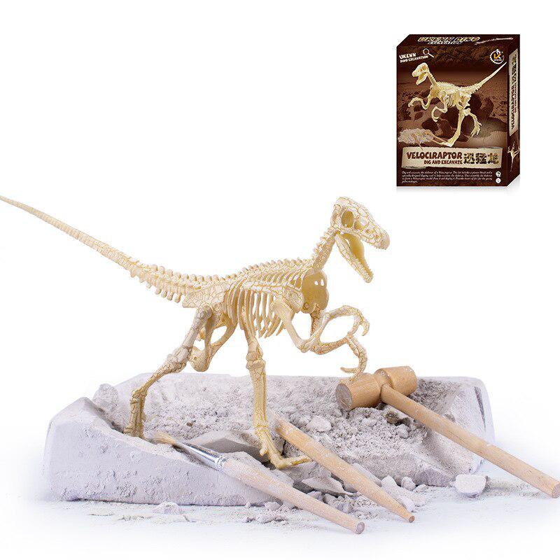 NEW 6 Optional DIY Simulation Archaeological Excavation of Dinosaur Skeleton Fossil Model Educational Toys Gift for Children