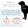 Dog Half for Large Genuine Italian Brown [Rafficaro] Collar, Choke, Dogs, Leather, Training, Stylish, Leather, Painless, Wide, Safe,