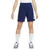 Nike Kids Shorts Moderate FD2997-410