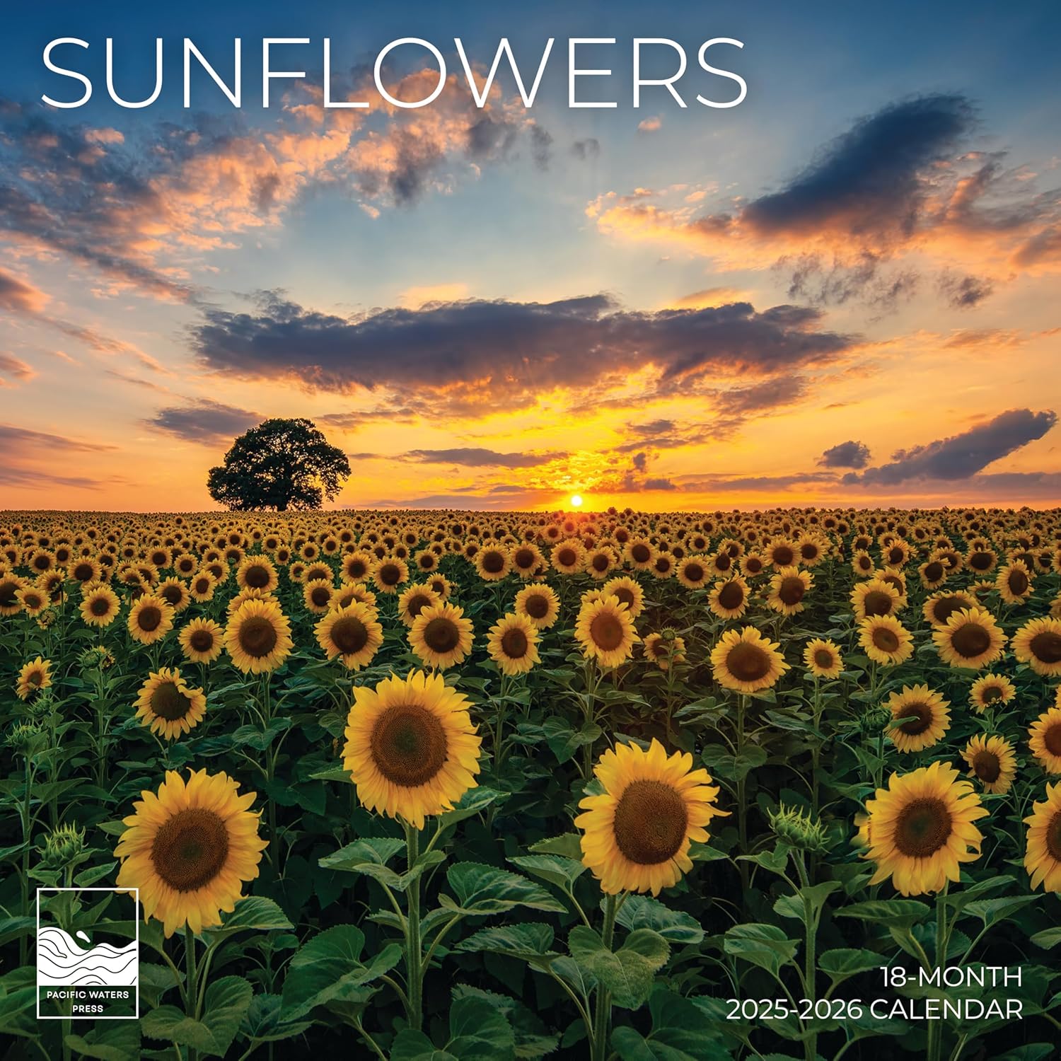 Beach Calendar 2026 | 12  x 24  Open | Giftable Paradise Calendar 2026 | Thick & Sturdy Paper for Planning | Pacific Waters Press (Beaches) Sunflowers