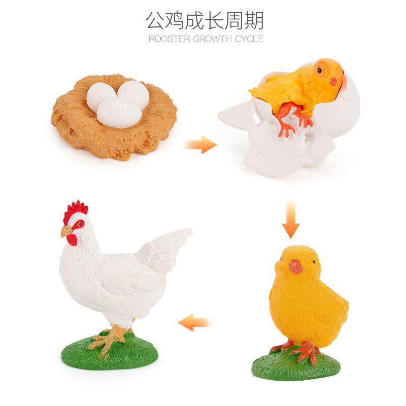 Hot Animal Life Cycle Board Children Toys Montessori Teaching Aids Plant Animal Growth Cycle Model Set Preschool Cognitive Toys