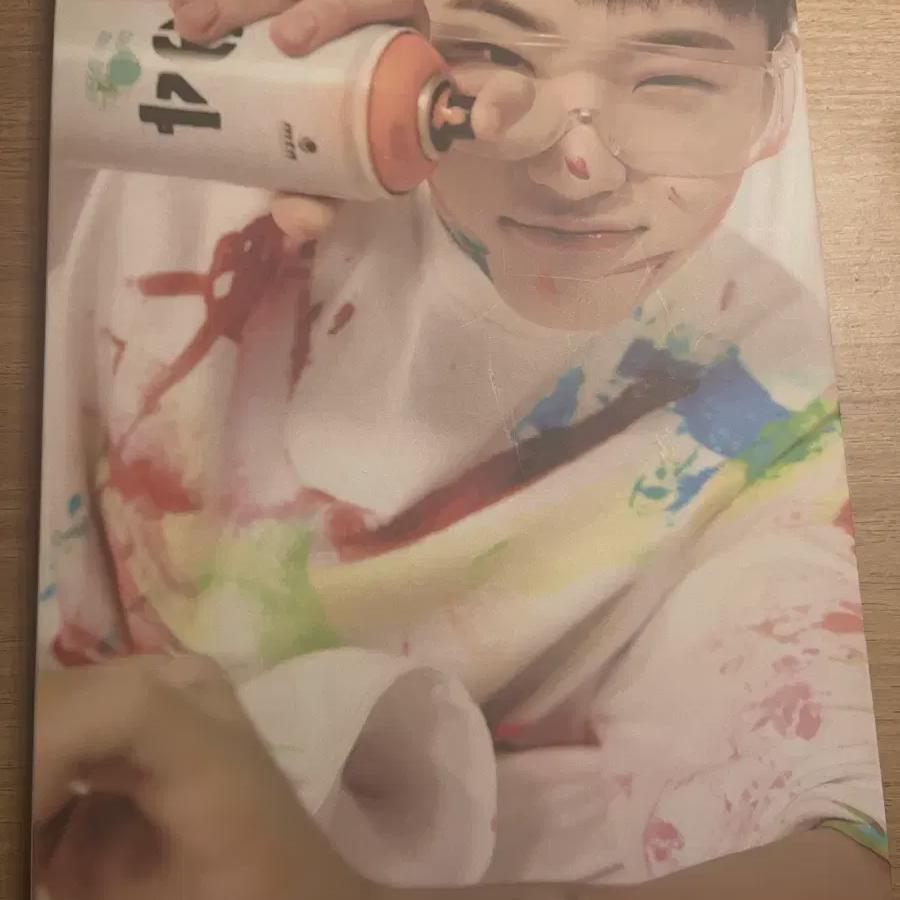 

Seventeen Hoshi Poca Book