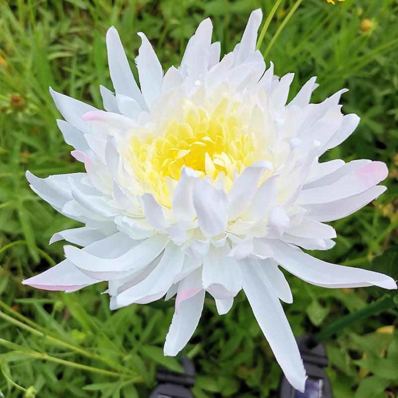 Solar Chrysanthemum Garden Lights Decorative Landscape Lighting Outdoor for Pathway,Garden, Patio, Yard, Walkway,Garden, Flowerbed, Fence
