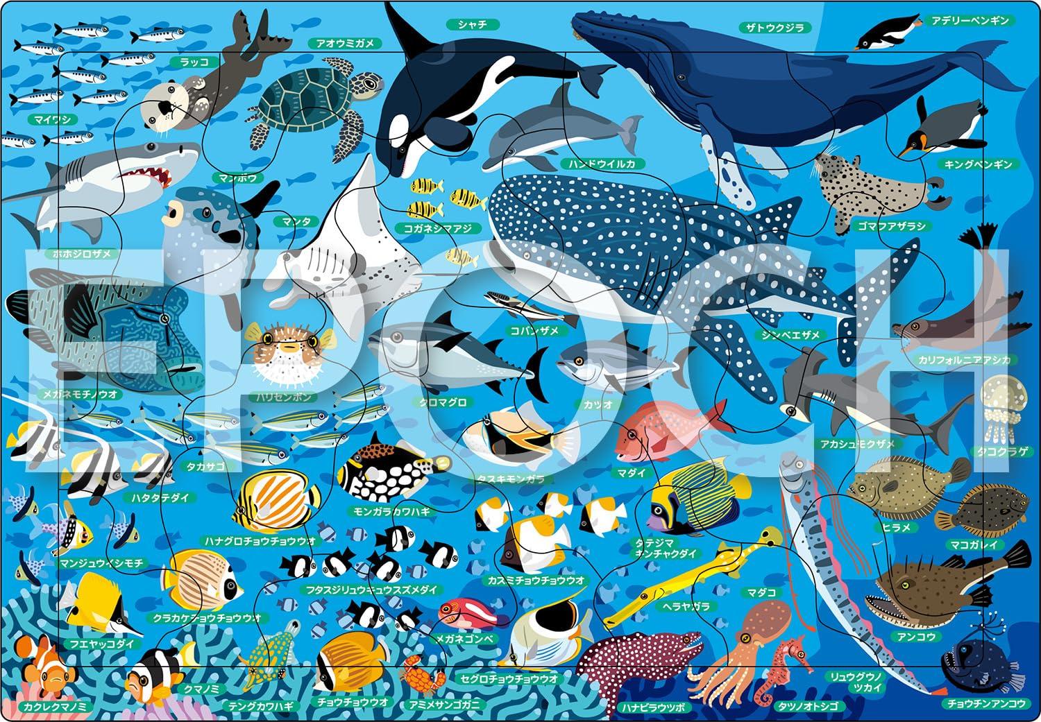 

Epoch Apollo Sea Creatures Puzzle 35 Pieces Children s Puzzle 25-231 ST Mark Certified with Storage Bag Ages 4 and Up Toys