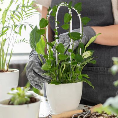 2 Pcs U-Shaped Acrylic Plant Trellis Clear Plant Support with Twist Ties Climbing