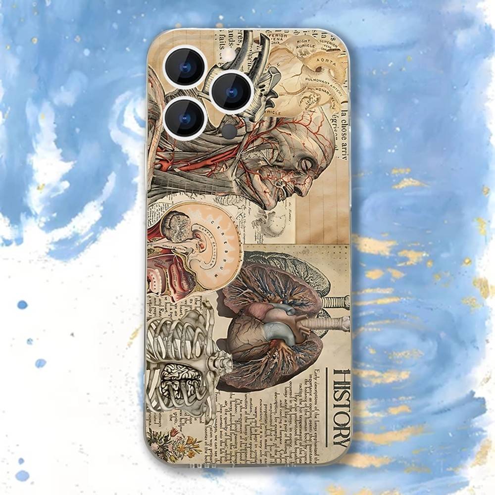 Medical Human A-Anatomy Clear Phone case suitable for iPhone 11 12 13 14 15 16 17 Pro Max Plus X XS XR SE E Mini Protective Case