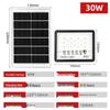 Lishi 30W Solar LED Starry Sky Floodlight