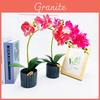 Sztuczny kwiat Phalaenopsis w doniczce do dekoracji domu i na wydarzenia
