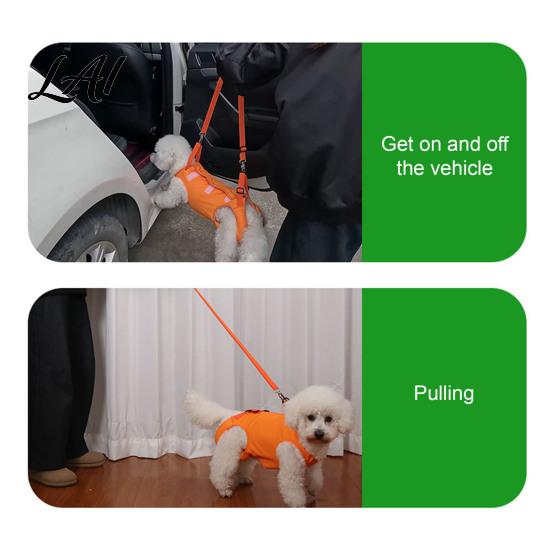 Harnais de levage pour chien avec support réglable pour la poitrine et le ventre, Harnais-écharpe rembourré avec poignées, Gilet de récupération complet pour animaux de compagnie pour la coupe des ongles, Jambes arrière,