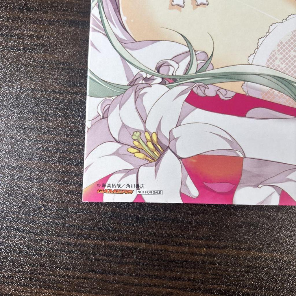 [USED] Comes with a Special Case for This Non-sale Item! Takuya Fujima Art Book ViVidgirls