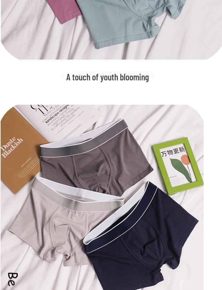 3-Pack Men's Plus Size Solid Color Cotton Boxer Shorts: Simple, Casual Sports Underwear for Young & Middle-Aged.