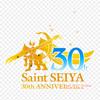 Saint Seiya Cavalieri dello Zodiaco Pegasus Seiya Capricorno Shura Toppe Termoadesive per Vestiti Adesivi da Applicare Su Vestiti Toppa Personalizzata Sensibile al Calore