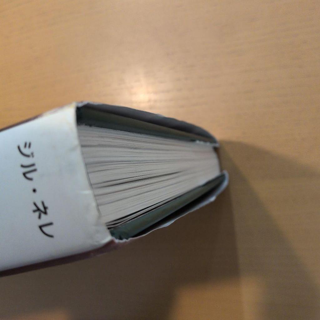 [USED] Renoir, Painter of Happiness, Gilles Nere