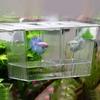 Aquarium Hatching Incubators Large Space Double Layer Transparent Plastic Fish Tank Breeding Isolation Box Aquarium Supplies