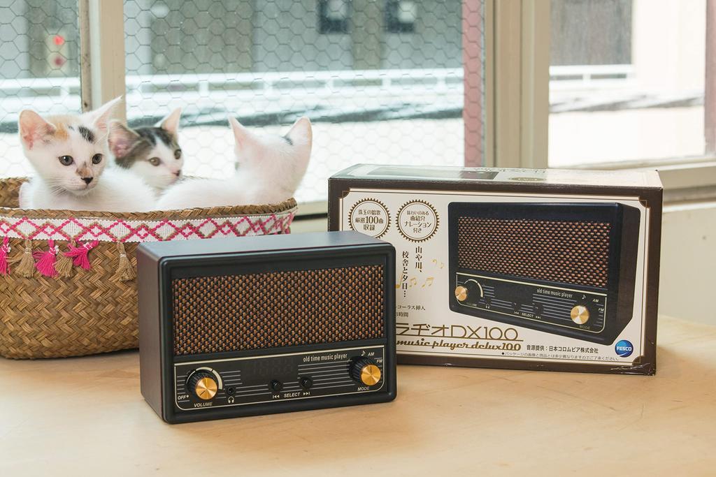 Hudební přehrávač FESCO Shoka Radio DX100 s rádiem AM/FM SRDX-001