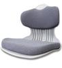 Ai Chair, a Unisex Lumbar Support Chair with Cushion for Correct Posture, Pelvic Alignment, and Portable Support (gray)