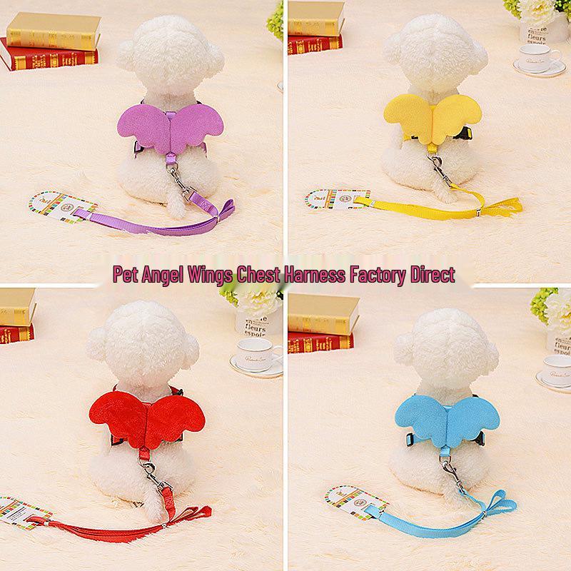 Retractable Pet Leash Harness with Angel Wings for Cats & Dogs
