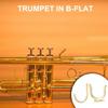 Small Finger Hook Trumpet Finger Hook Copper Finger Hook Back Finger Hook Trumpet Part Front Finger Hook for Trumpet