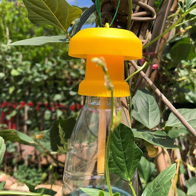Non-Toxic Physical Pest Trap for Garden, Battery-Free & Eco-Friendly, Captures Beetles, Flies, Aphids to Protect Vegetables