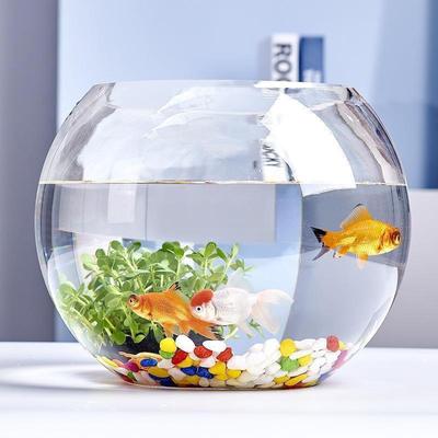 Small Round Glass Aquarium for Home or Office - Ideal for Goldfish or Turtles