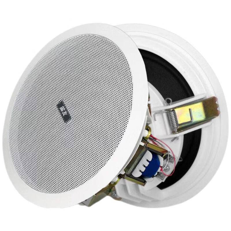 Diyou 6.5-inch Ceiling Speaker Public Address System Kit