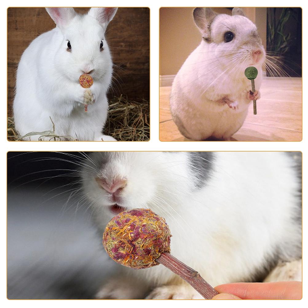 12 Pcs Lollipop Pet Rabbit Snacks Guinea Pig Toys Hamster Chewing Sticks Plant Bunny Molar Animals Biting Playthings