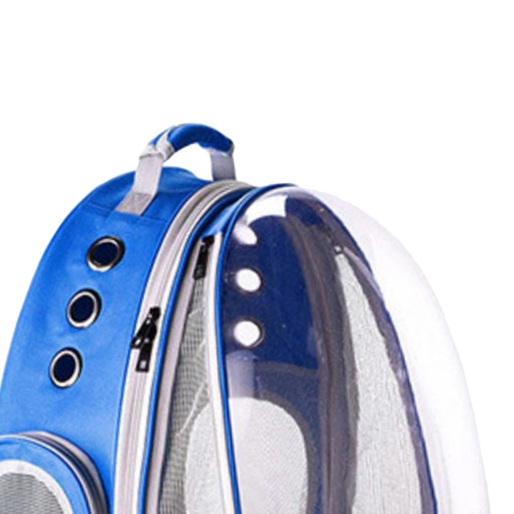 clear bubble backpack